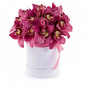 17 орхидей Цимбидиум в средней шляпной коробке