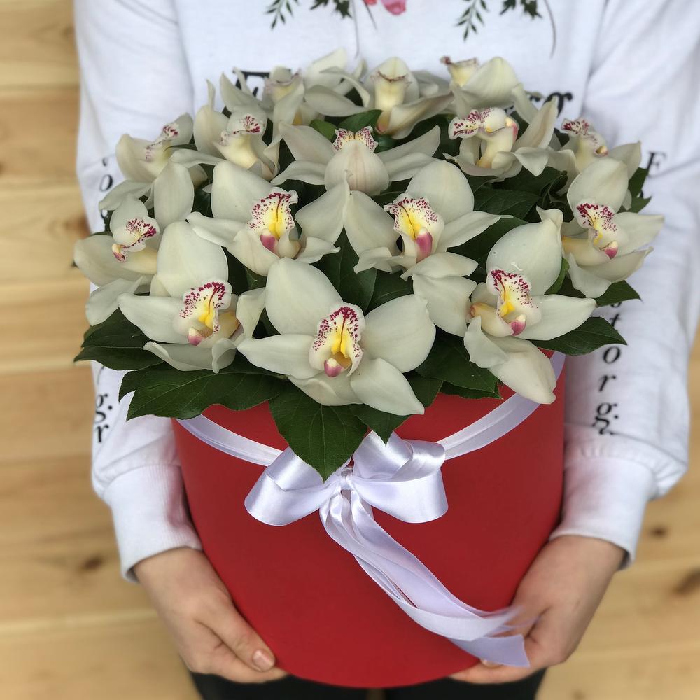 Доставка орхидей по россии. Букет с орхидеей Цимбидиум. Букет с белой орхидеей Цимбидиум. Орхидея Цимбидиум белая. Орхидея Цимбидиум в коробке.