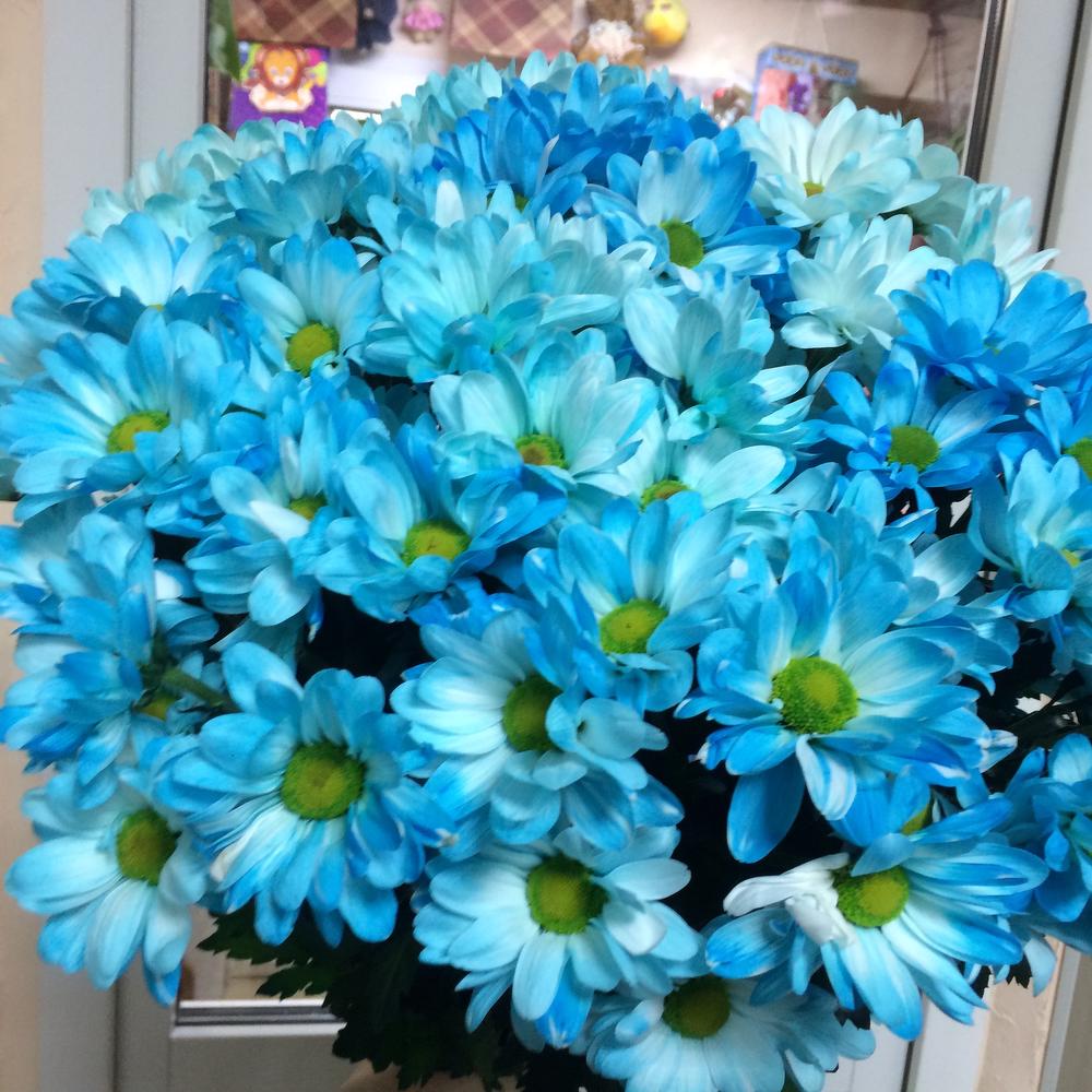 Купить Букет хризантем « Голубая Ромашка» в Москве недорого с доставкой