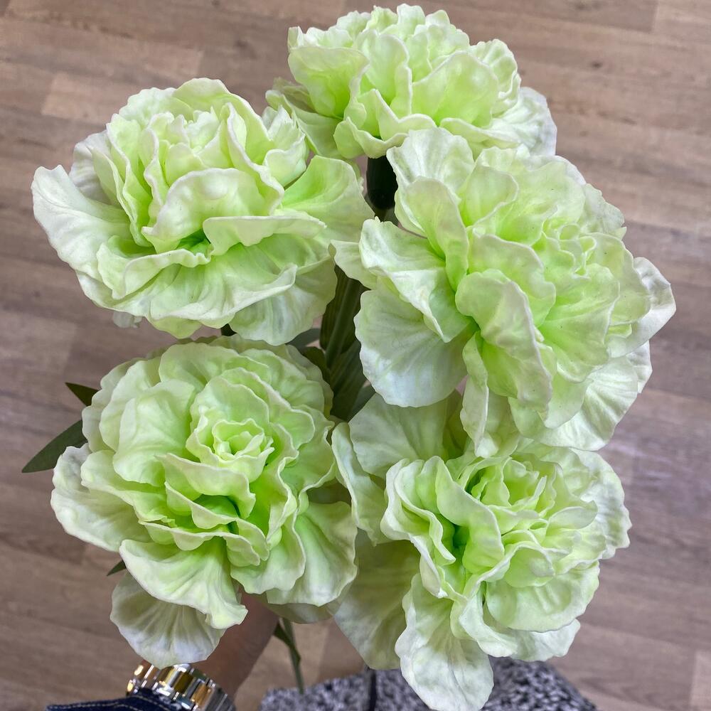 Купить Букет цветов Гвоздика зелёная №161 в Москве недорого с доставкой