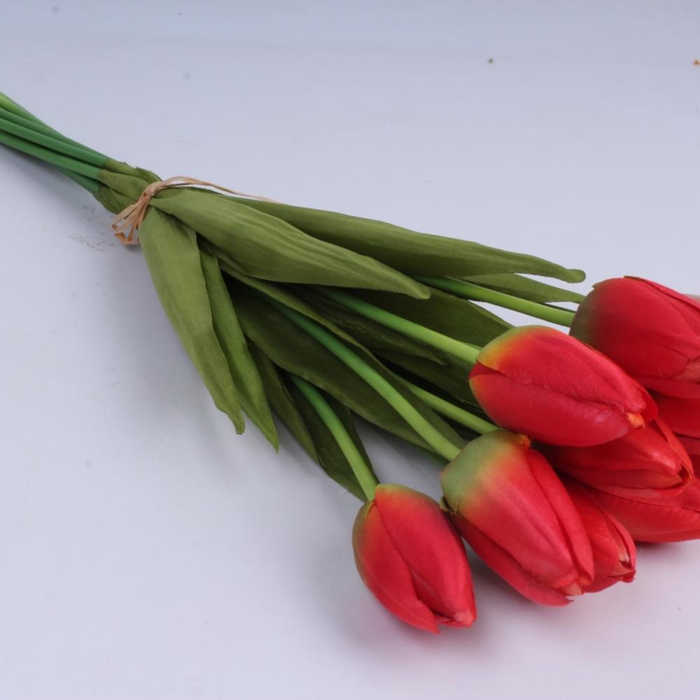 Тюльпан Денмарк. 9 Красных тюльпанов в букете. 5 Тюльпанов. Длинные тюльпаны.