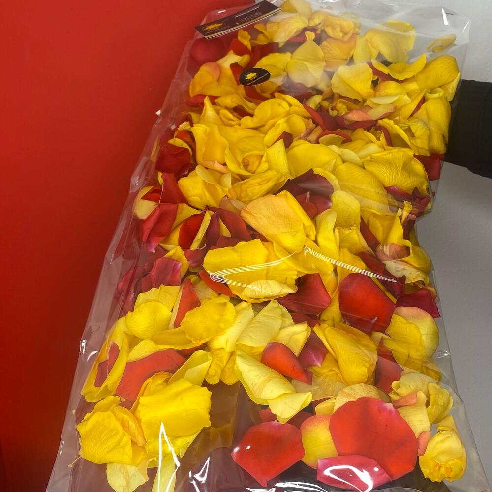 Заказать Лепестки Роз Спб Дешево Проспект Просвещения