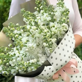 Букет из белых маттиол