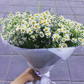 Букет цветов "Охапка ромашек"