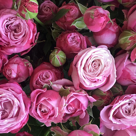 Букет цветов Леди Бомбастик Премиум №160 - Фото 3