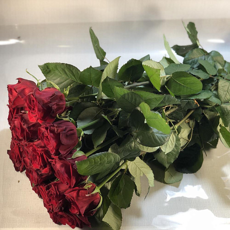 21 роза 60см - Фото 3