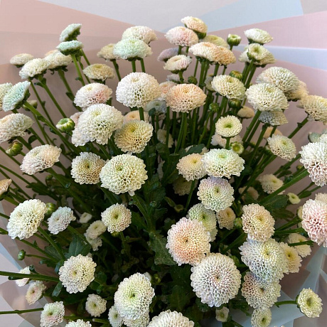 Букет цветов Радужная Сантини - Фото 5