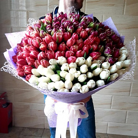 151 Пионовидный Тюльпан