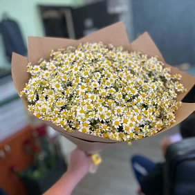 Букет из 25 ромашки