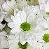 Белые хризантемы в коробке - Фото 6