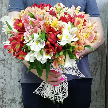 Букет из 29 альстромерий микс №167 - Фото 2