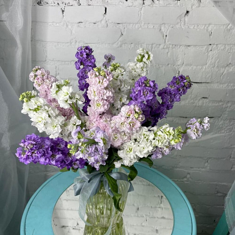 15 маттиол - Фото 2