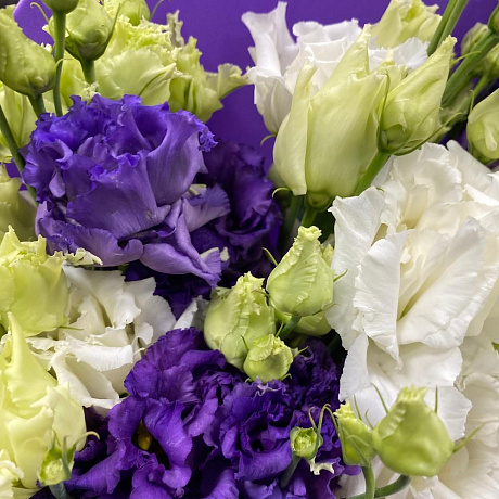 Букет из 7 Лизиантусов - Фото 4