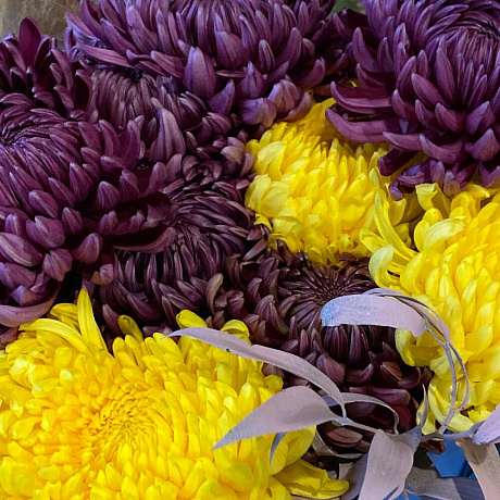 Букет цветов Бабье лето в коробке - Фото 5