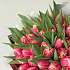 51 пионовидный персиковый тюльпан - Фото 2