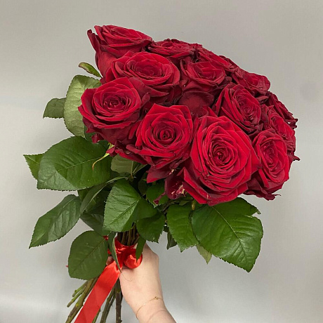 15 алых роз под ленту - Фото 6