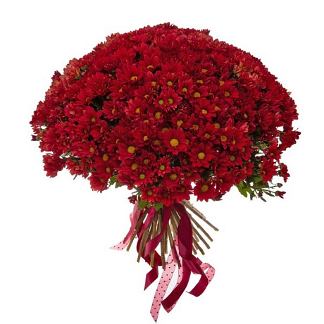 Букет соло красных кустовых хризантем - Фото 4
