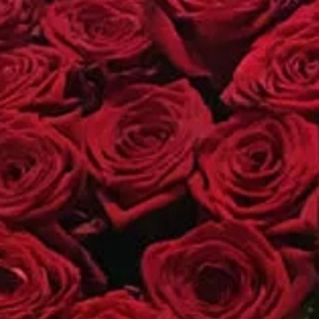 Букет цветов Комплимент №254 - Фото 3