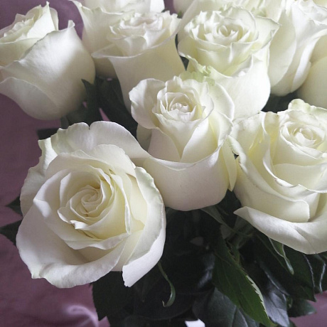 Букет из 21 белой эквадорской розы - Фото 5