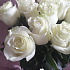 Букет из 21 белой эквадорской розы - Фото 5