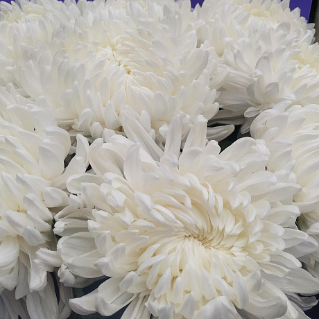 Букет цветов Облако №164 - Фото 3