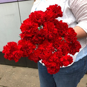 Букет с красной гвоздикой №163
