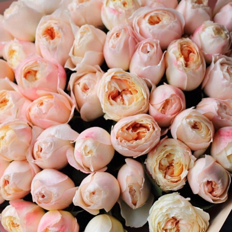 Букет из пионовидных роз Принцесса Айко (47) - Фото 4