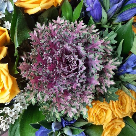 Букет цветов Брассиолини - Фото 4