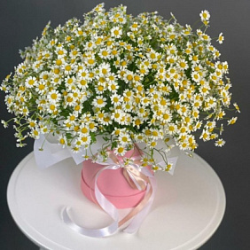 Букет "Ромашки" №181