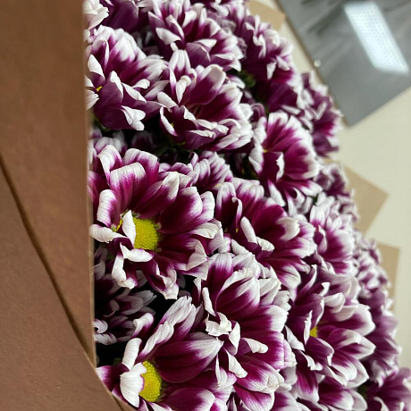 19 кустовых хризантем - Фото 6