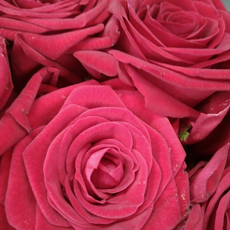 Букет цветов Королева №163 - Фото 5