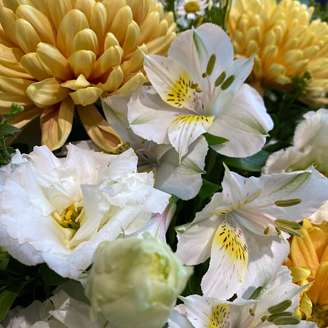 Букет с пушистой гортензией и хризантемой - Фото 3