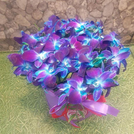 Орхидея синияя в коробке - Фото 2