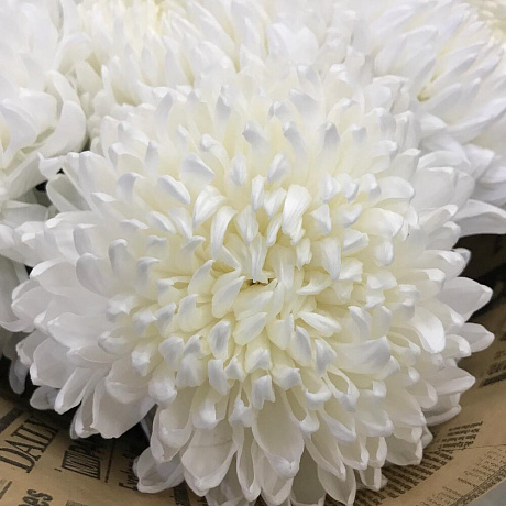 Букет цветов Снег - Фото 5