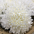 Букет цветов Снег - Фото 5