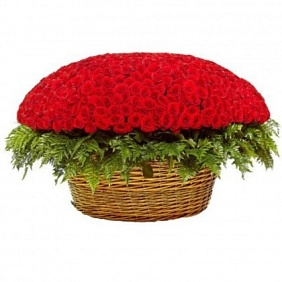 501 Роза в корзине №162