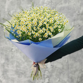 Летний букет ромашек в голубой упаковке №160