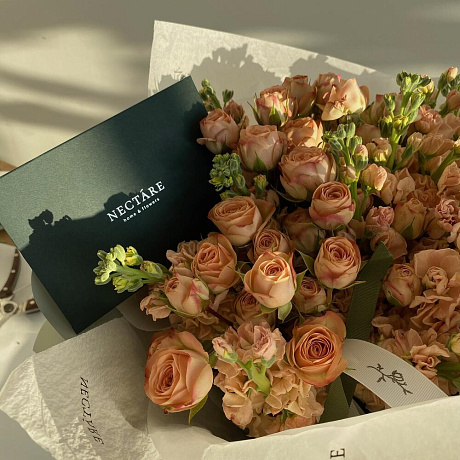 Дуэт Маттиола и Кустовая Роза №160 - Фото 2