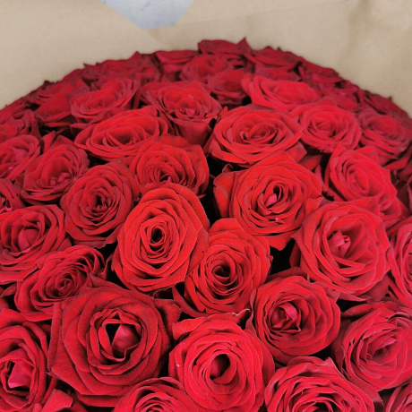 Розы 101 Ред Наоми - Фото 6