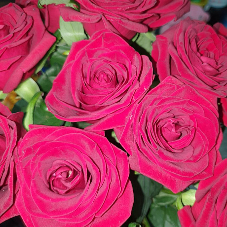 15 роз ред наоми - Фото 2