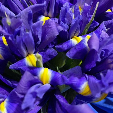 Синяя композиция цветов - Фото 5