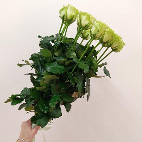 Роза 15 штук, 90см, атласная лента