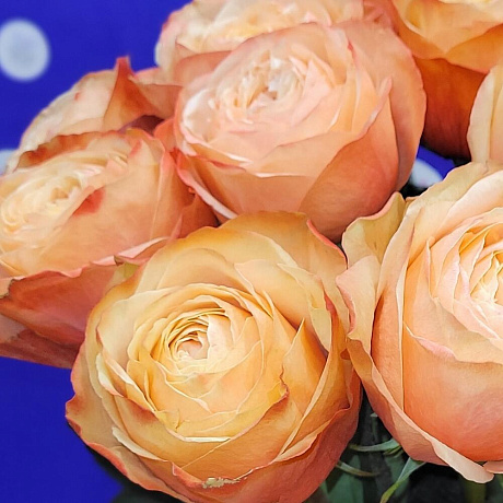 Букет из Пионовидных роз №160 - Фото 5