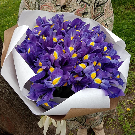 Букет из 31 синего ириса - Фото 5