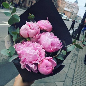 Пиончики 5 шт