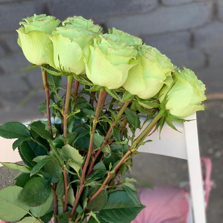 Монобукет 15 Зелёных роз 60см - Фото 3