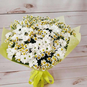 Букет Ромашек и хризантем (M)