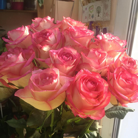 Роза Джамила 11 №160 - Фото 3