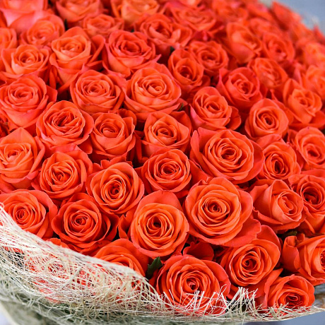 Букет из 101 оранжевой розы (60 см). N825 - Фото 5