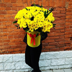 Шляпная коробка из хризантем "Солнечный день (желтый)"